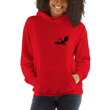 Load image into Gallery viewer, Venger's Decks Unisex Hoodie