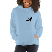 Load image into Gallery viewer, Venger's Decks Unisex Hoodie